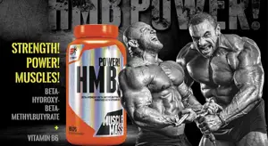 f0d26156-e397-358f-b844-566283d2430e